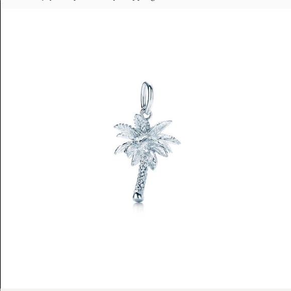 Tiffany & Co. Jewelry - Tiffany Charm